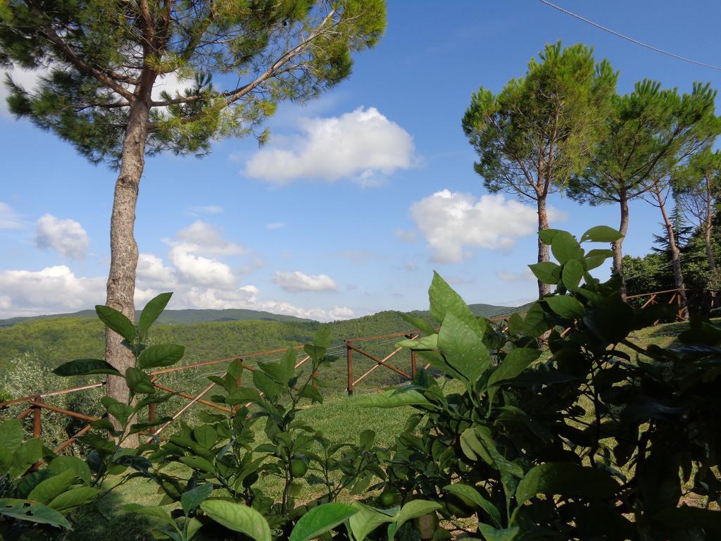 La Corte Dei Banchetti Farm stay Gualdo Cattaneo